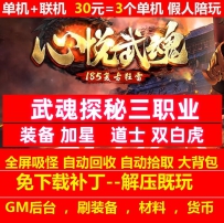 gee185心悦武魂探秘三职业装备加星假人陪玩